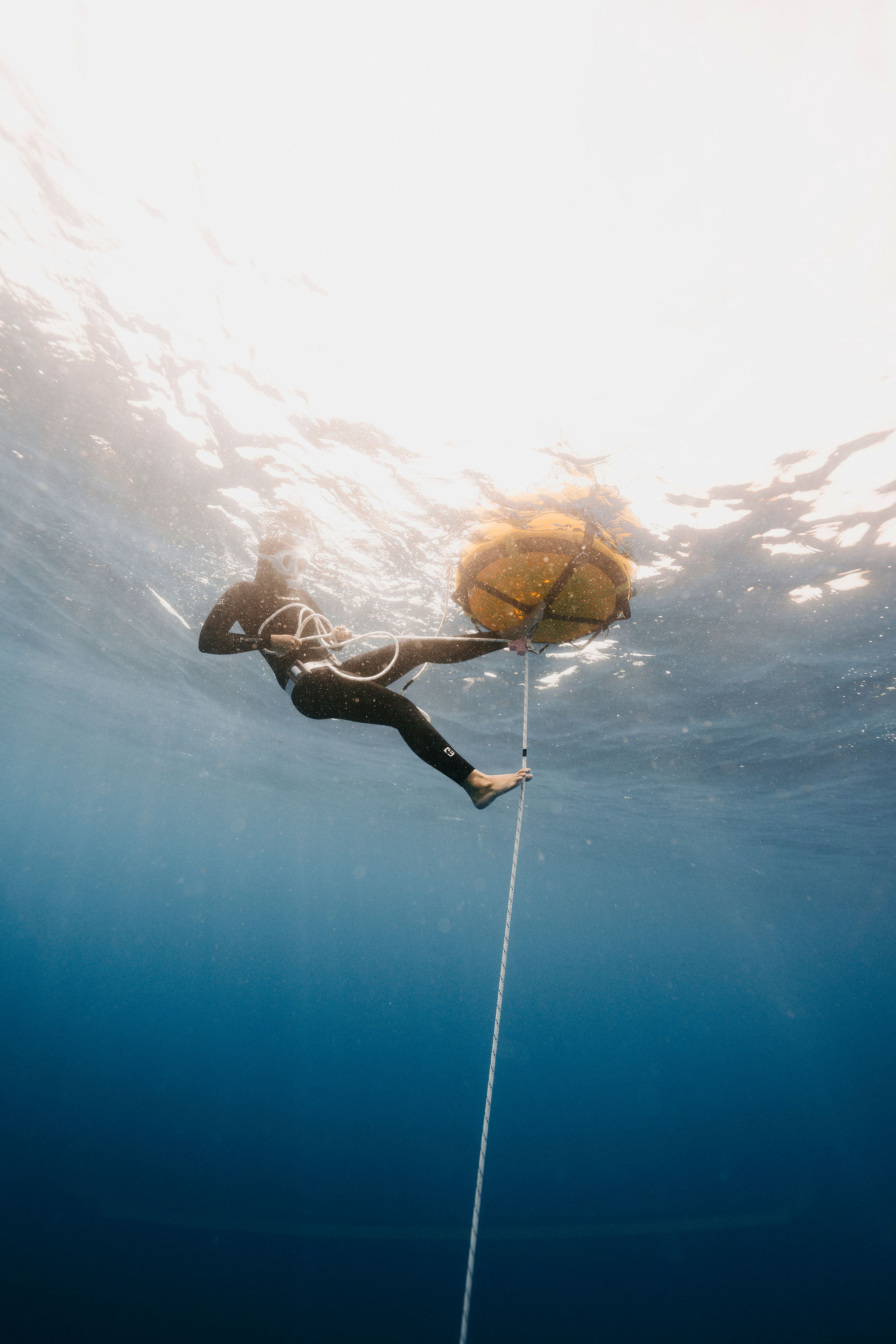 Freedive buoy and rope from below