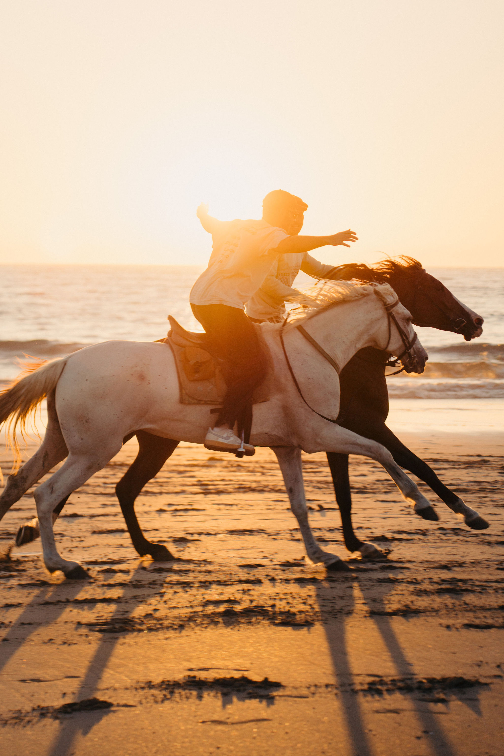 Rider galloping two horses along the shoreline at sunset