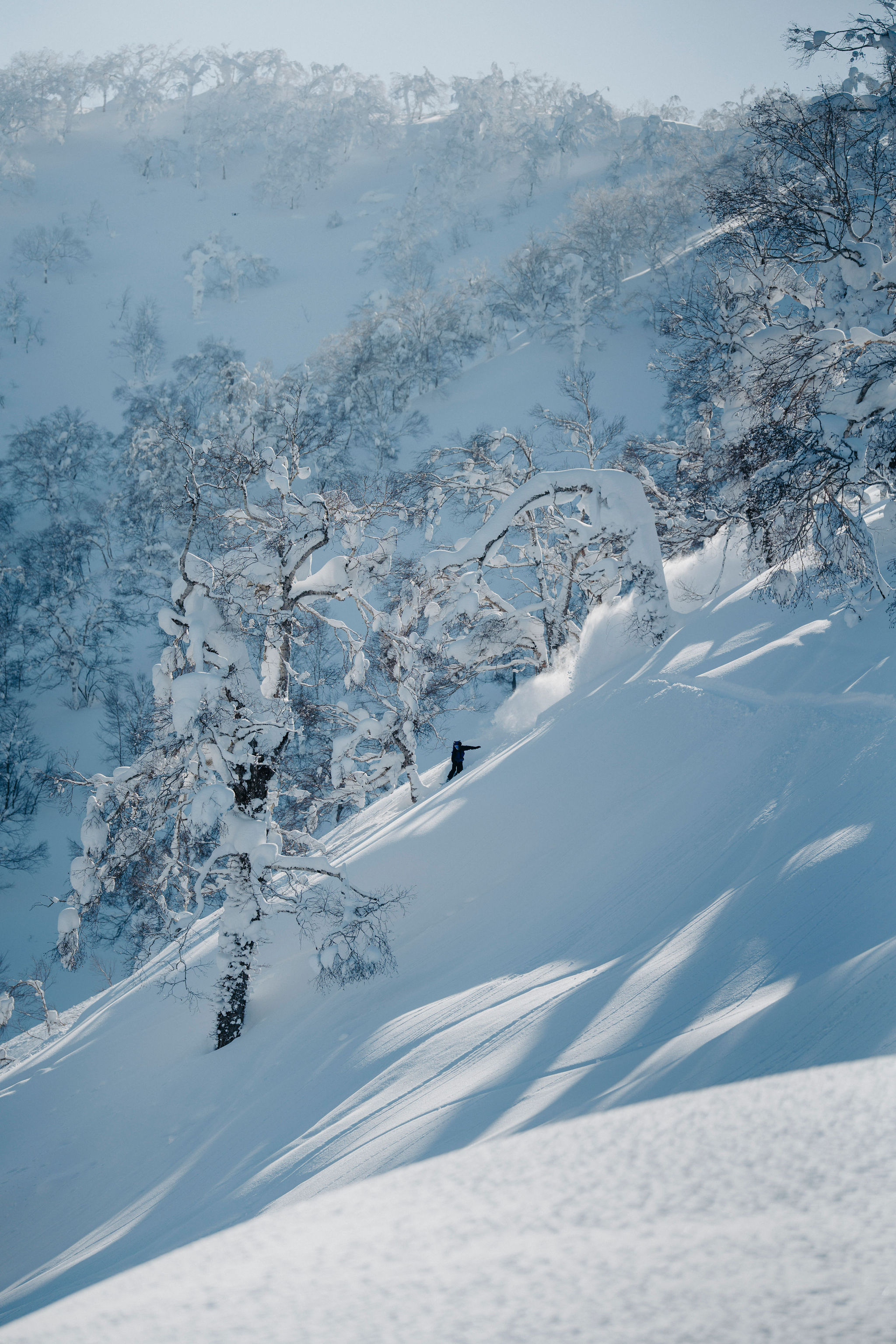 Snowboarder hiking a backcountry ridge above Niseko