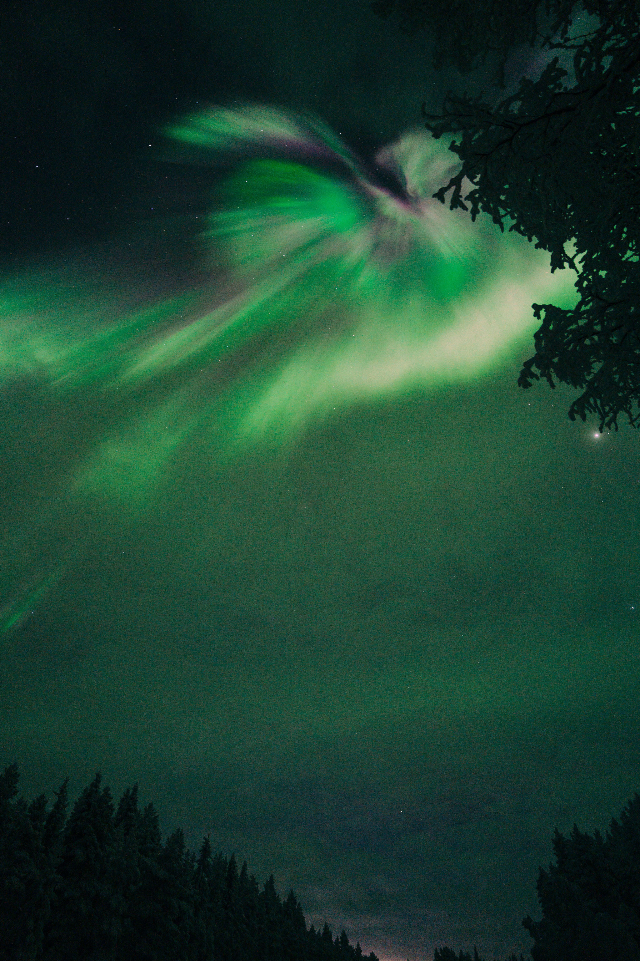 An aurora corona breaking open above Finnish Lapland