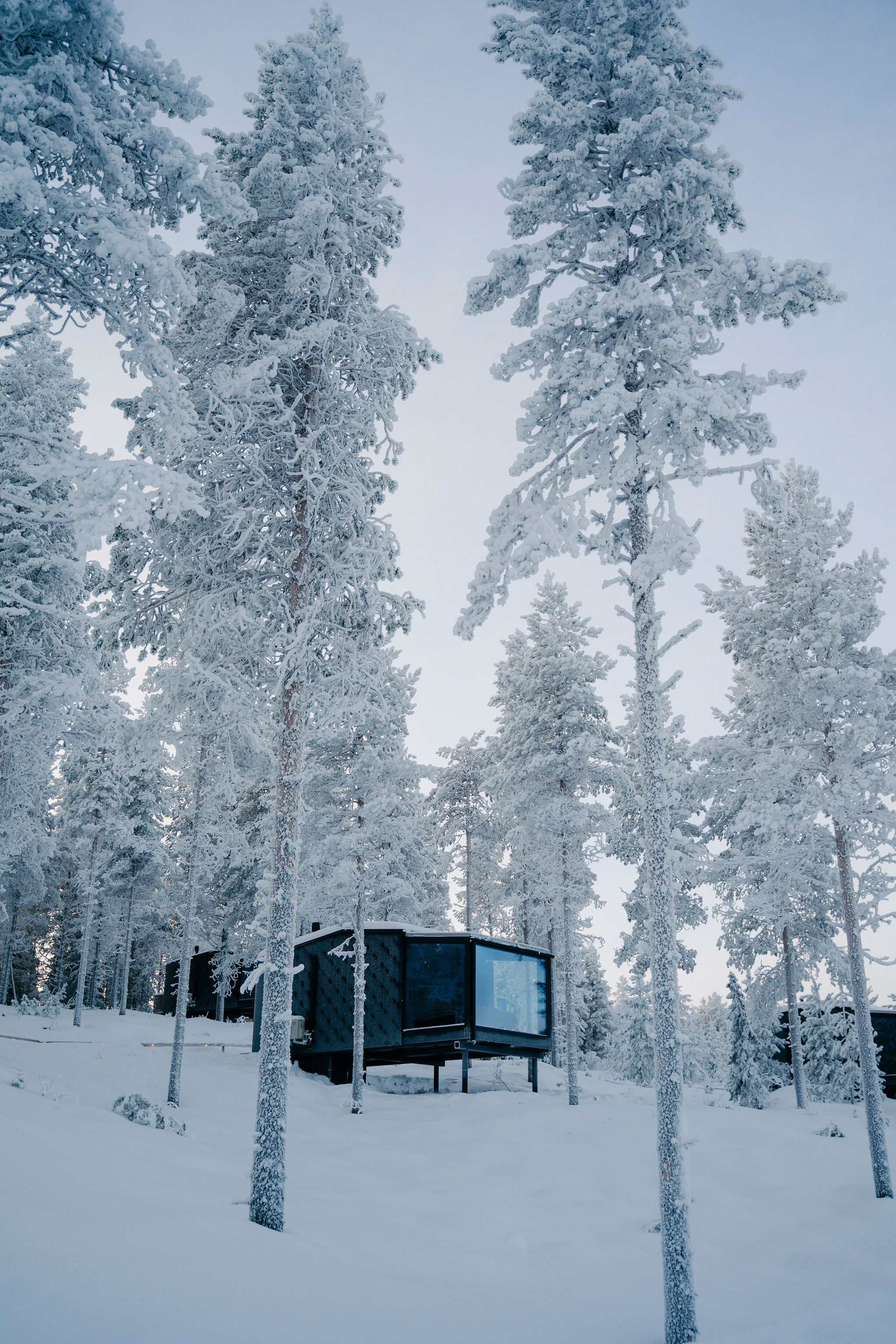 Lit wooden cabin raised among snow-covered trees at dusk