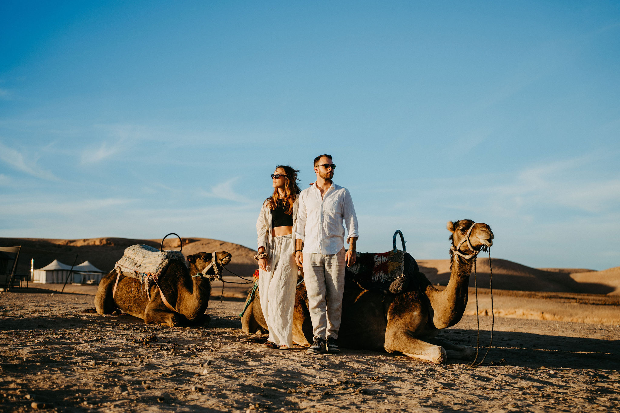 Two camels resting on a dune in the Agafay desert