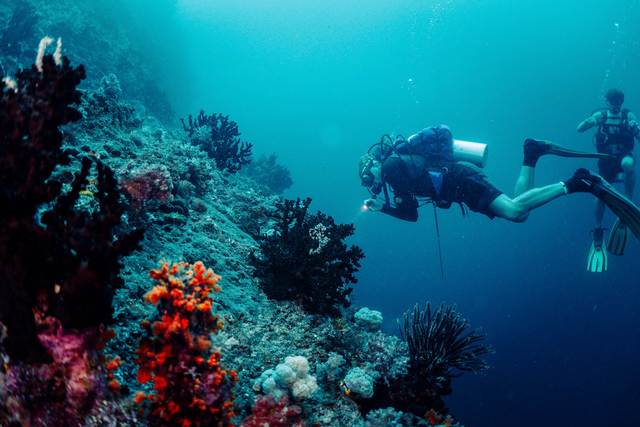 Diver over a coral reef in Raja Ampat